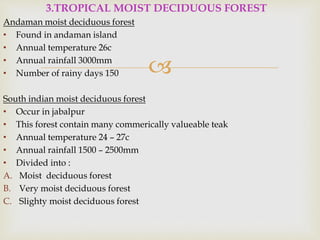 
3.TROPICAL MOIST DECIDUOUS FOREST
Andaman moist deciduous forest
• Found in andaman island
• Annual temperature 26c
• Annual rainfall 3000mm
• Number of rainy days 150
South indian moist deciduous forest
• Occur in jabalpur
• This forest contain many commerically valueable teak
• Annual temperature 24 – 27c
• Annual rainfall 1500 – 2500mm
• Divided into :
A. Moist deciduous forest
B. Very moist deciduous forest
C. Slighty moist deciduous forest
 
