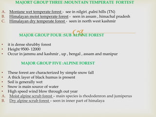 
MAJORT GROUP THREE :MOUNTAIN TEMPERATE FORTEST
A. Montane wet temperate forest - see in nilgiri ,palni hills (TN)
B. Himalayan moist temperate forest - seen in assam , himachal pradesh
C. Himalayan dry temperate forest - seen in north west kashmir
MAJOR GROUP FOUR :SUB ALPINE FOREST
• it is dense shrubby forest
• Height 9500- 12000
• Occur in jammu and kashmir , up , bengal , assam and manipur
MAJOR GROUP FIVE :ALPINE FOREST
• These forest are characterized by simple snow fall
• A thick layer of black humus is present
• Soil is generally wet
• Snow is main source of water
• High speed wind blow through out year
A. Moist alpine scrub forest – main species is rhododenron and jumiperus
B. Dry alpine scrub forest – seen in inner part of himalaya
 