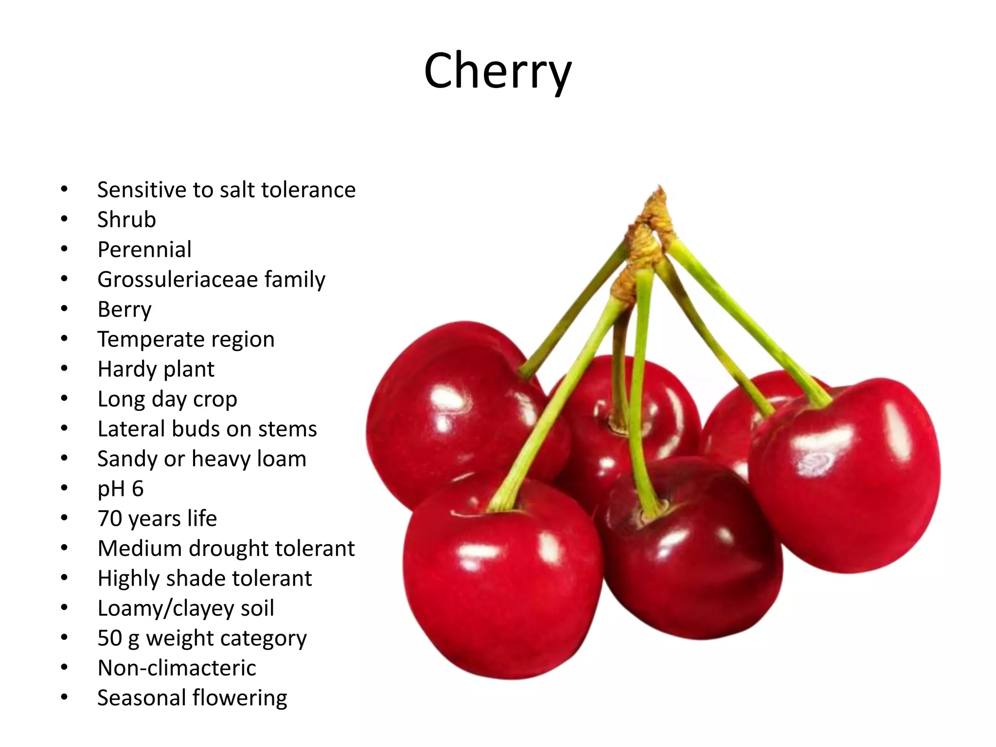 Cherry
• Sensitive to salt tolerance
• Shrub
• Perennial
• Grossuleriaceae family
• Berry
• Temperate region
• Hardy plant
• Long day crop
• Lateral buds on stems
• Sandy or heavy loam
• pH 6
• 70 years life
• Medium drought tolerant
• Highly shade tolerant
• Loamy/clayey soil
• 50 g weight category
• Non-climacteric
• Seasonal flowering
 