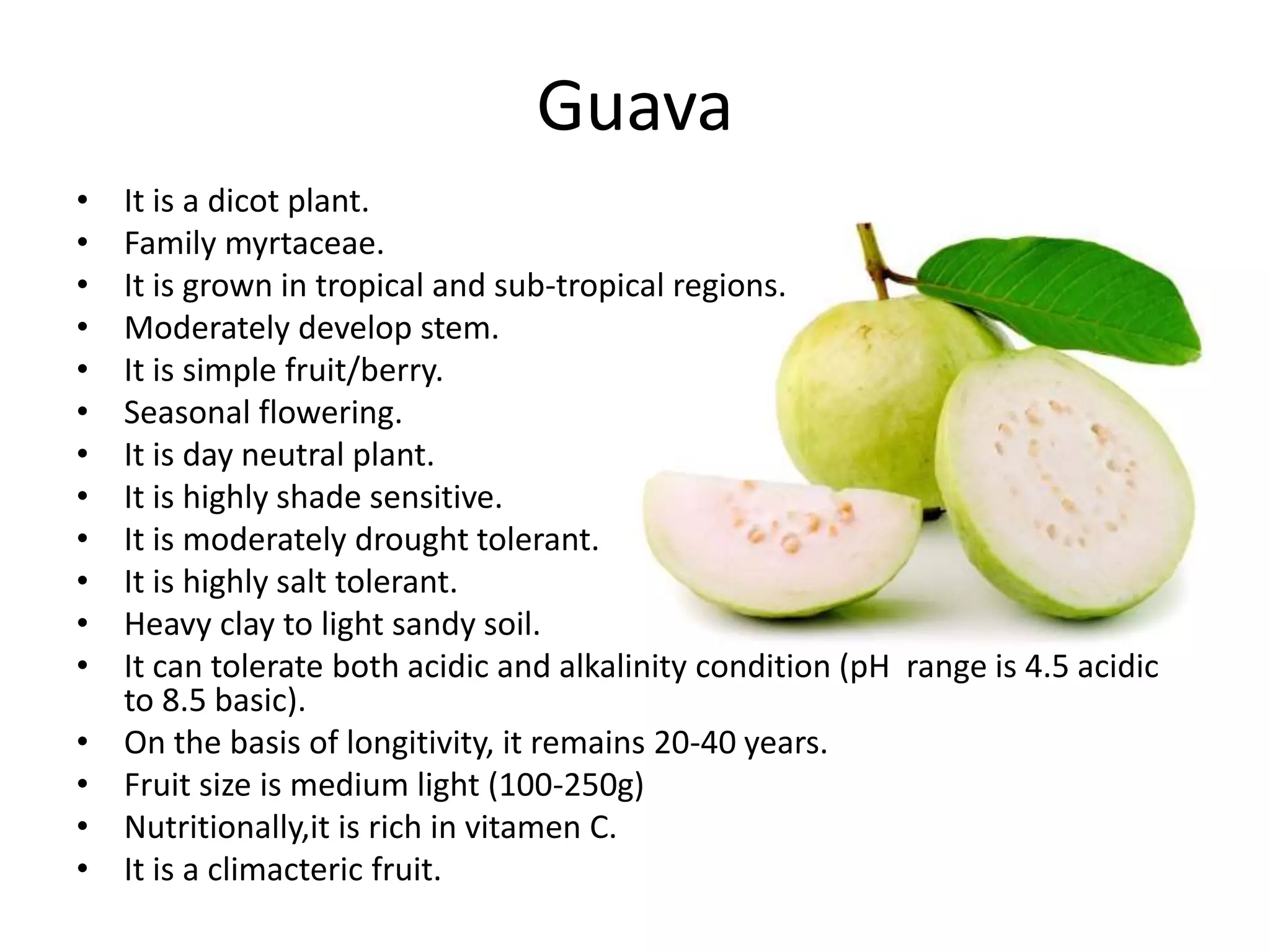 Guava
• It is a dicot plant.
• Family myrtaceae.
• It is grown in tropical and sub-tropical regions.
• Moderately develop stem.
• It is simple fruit/berry.
• Seasonal flowering.
• It is day neutral plant.
• It is highly shade sensitive.
• It is moderately drought tolerant.
• It is highly salt tolerant.
• Heavy clay to light sandy soil.
• It can tolerate both acidic and alkalinity condition (pH range is 4.5 acidic
to 8.5 basic).
• On the basis of longitivity, it remains 20-40 years.
• Fruit size is medium light (100-250g)
• Nutritionally,it is rich in vitamen C.
• It is a climacteric fruit.
 