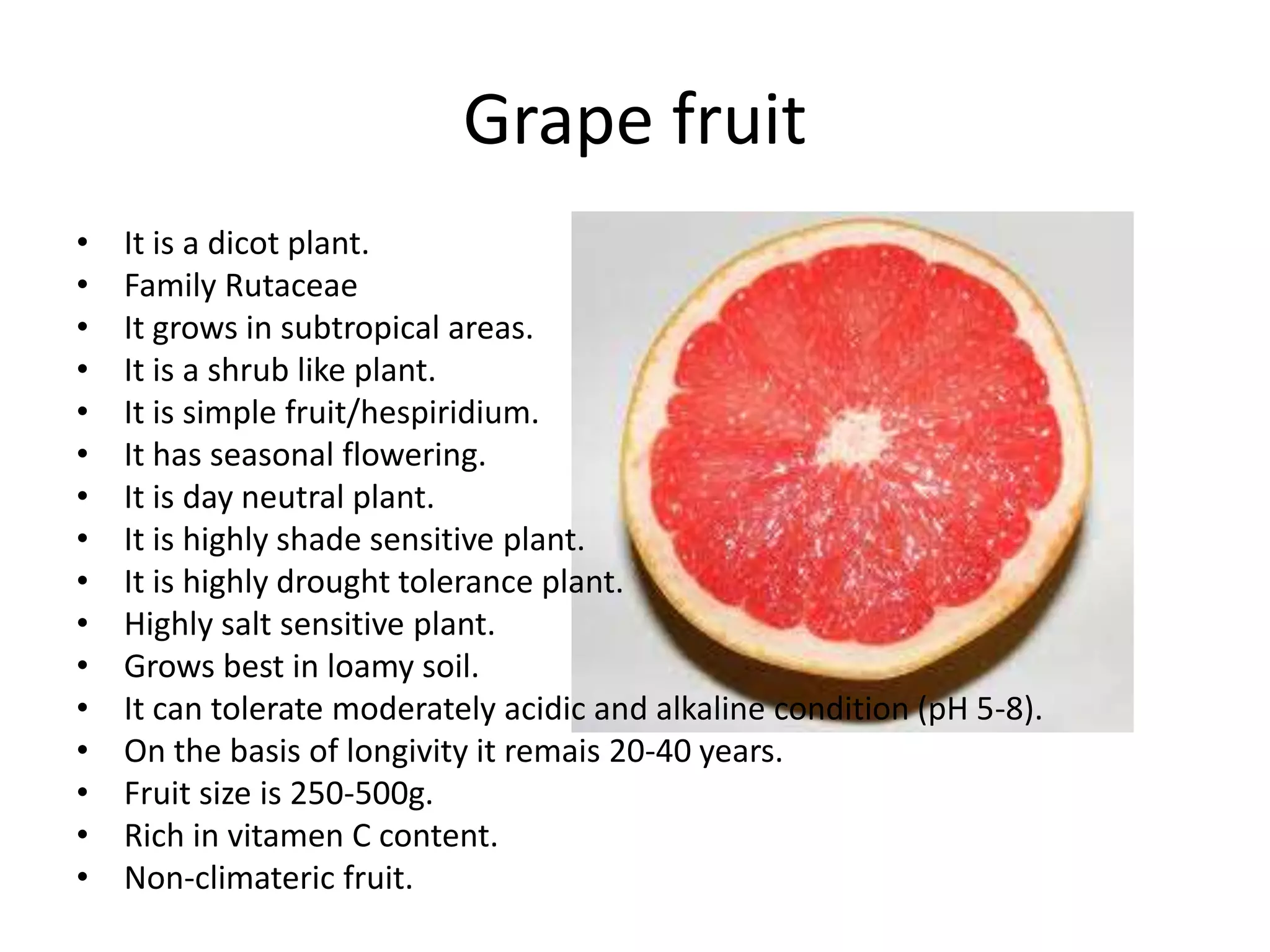 Grape fruit
• It is a dicot plant.
• Family Rutaceae
• It grows in subtropical areas.
• It is a shrub like plant.
• It is simple fruit/hespiridium.
• It has seasonal flowering.
• It is day neutral plant.
• It is highly shade sensitive plant.
• It is highly drought tolerance plant.
• Highly salt sensitive plant.
• Grows best in loamy soil.
• It can tolerate moderately acidic and alkaline condition (pH 5-8).
• On the basis of longivity it remais 20-40 years.
• Fruit size is 250-500g.
• Rich in vitamen C content.
• Non-climateric fruit.
 