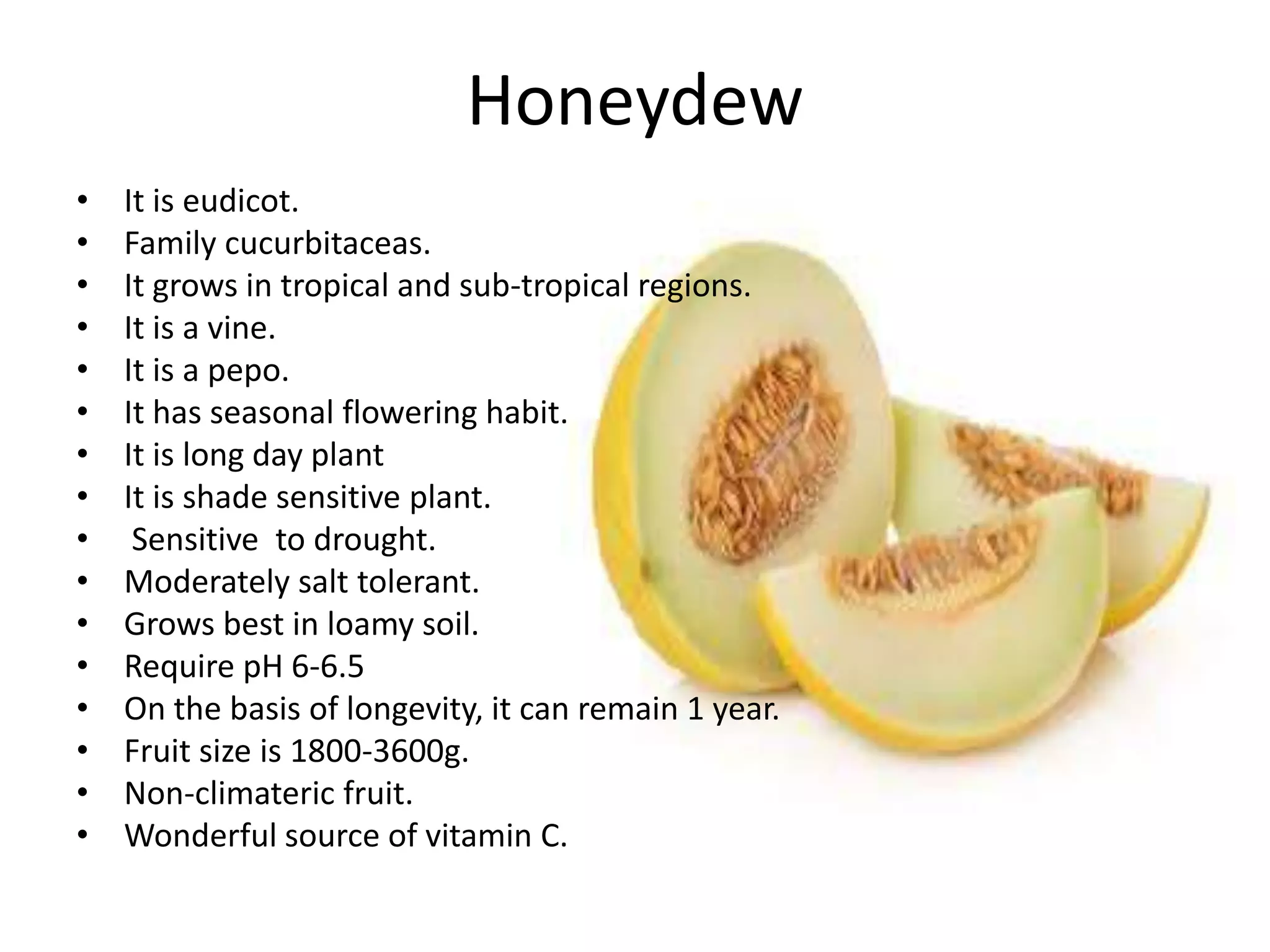 Honeydew
• It is eudicot.
• Family cucurbitaceas.
• It grows in tropical and sub-tropical regions.
• It is a vine.
• It is a pepo.
• It has seasonal flowering habit.
• It is long day plant
• It is shade sensitive plant.
• Sensitive to drought.
• Moderately salt tolerant.
• Grows best in loamy soil.
• Require pH 6-6.5
• On the basis of longevity, it can remain 1 year.
• Fruit size is 1800-3600g.
• Non-climateric fruit.
• Wonderful source of vitamin C.
 