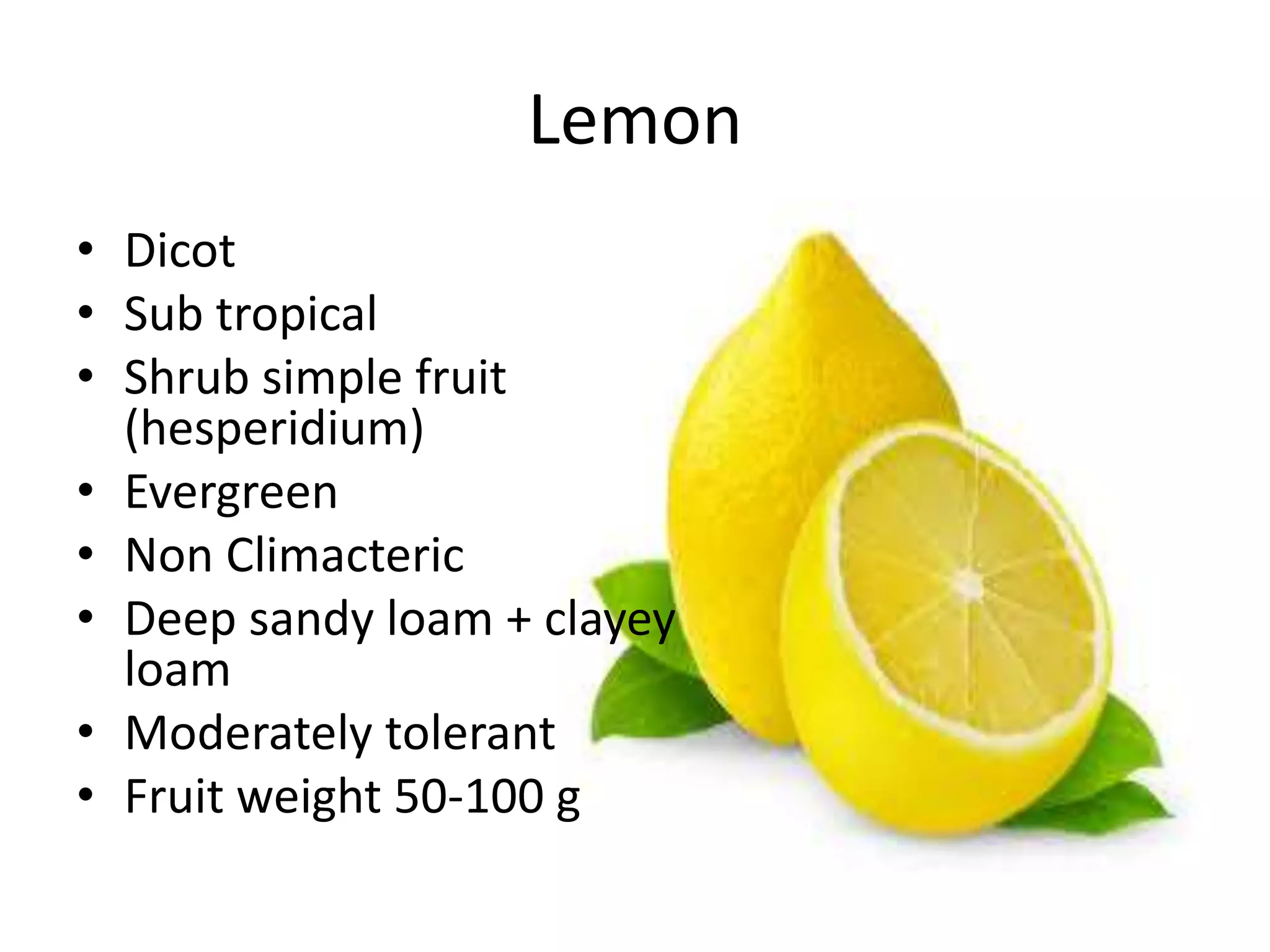 Lemon
• Dicot
• Sub tropical
• Shrub simple fruit
(hesperidium)
• Evergreen
• Non Climacteric
• Deep sandy loam + clayey
loam
• Moderately tolerant
• Fruit weight 50-100 g
 