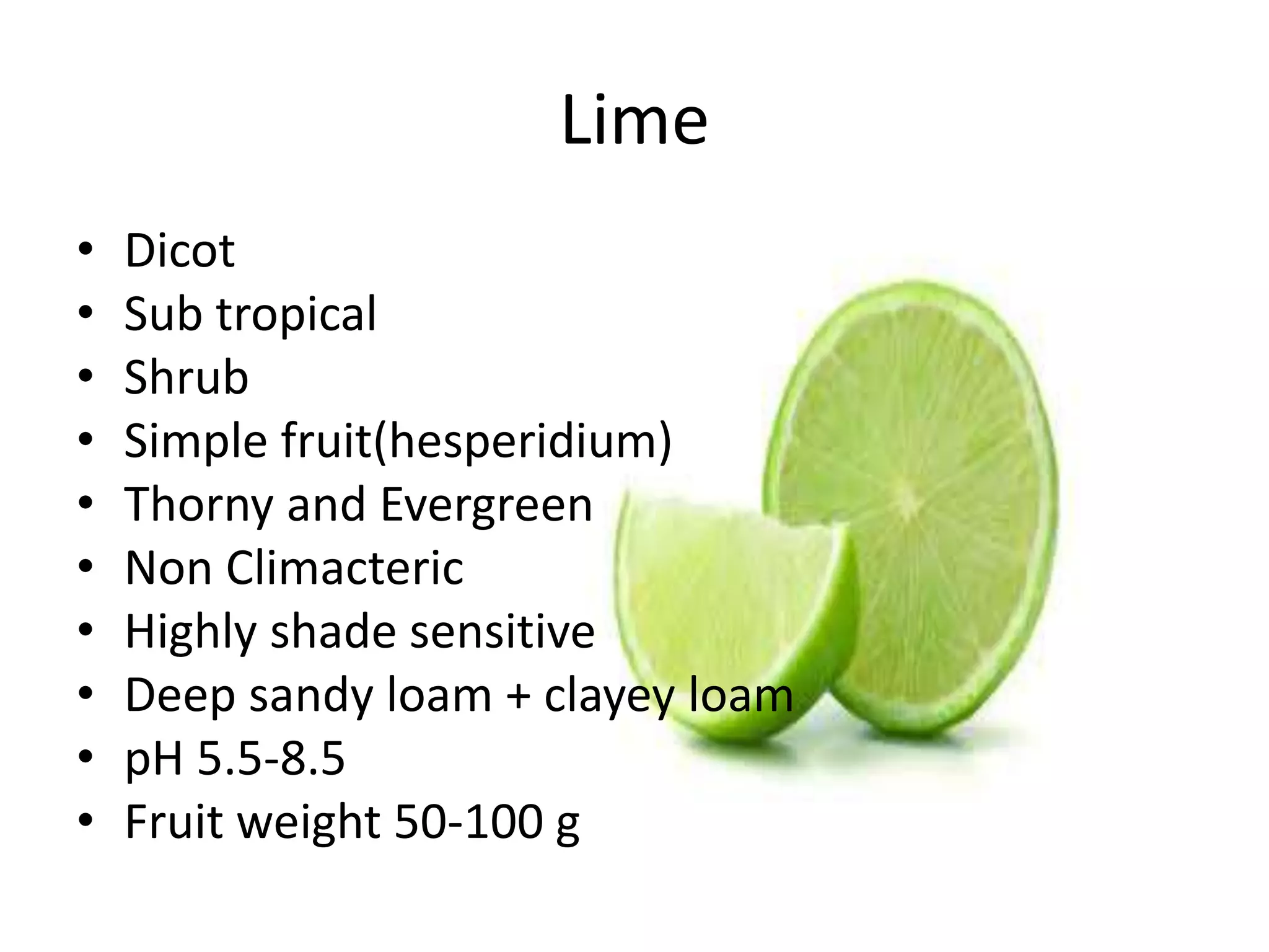 Lime
• Dicot
• Sub tropical
• Shrub
• Simple fruit(hesperidium)
• Thorny and Evergreen
• Non Climacteric
• Highly shade sensitive
• Deep sandy loam + clayey loam
• pH 5.5-8.5
• Fruit weight 50-100 g
 