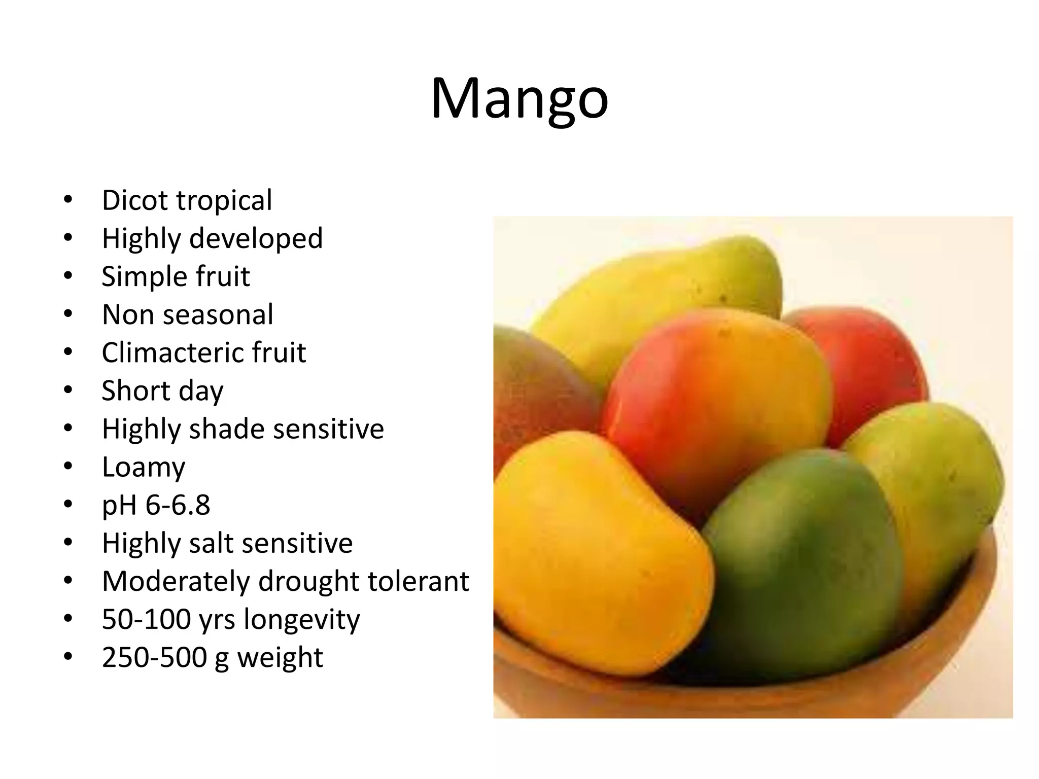 Mango
• Dicot tropical
• Highly developed
• Simple fruit
• Non seasonal
• Climacteric fruit
• Short day
• Highly shade sensitive
• Loamy
• pH 6-6.8
• Highly salt sensitive
• Moderately drought tolerant
• 50-100 yrs longevity
• 250-500 g weight
 