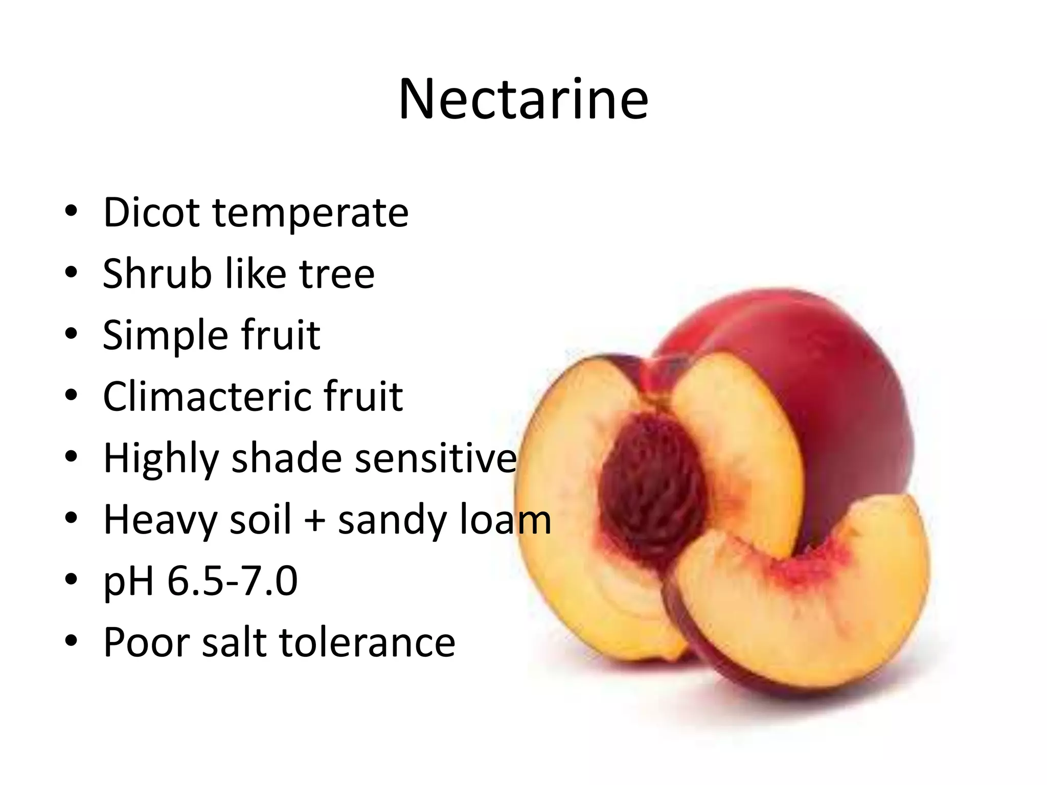 Nectarine
• Dicot temperate
• Shrub like tree
• Simple fruit
• Climacteric fruit
• Highly shade sensitive
• Heavy soil + sandy loam
• pH 6.5-7.0
• Poor salt tolerance
 