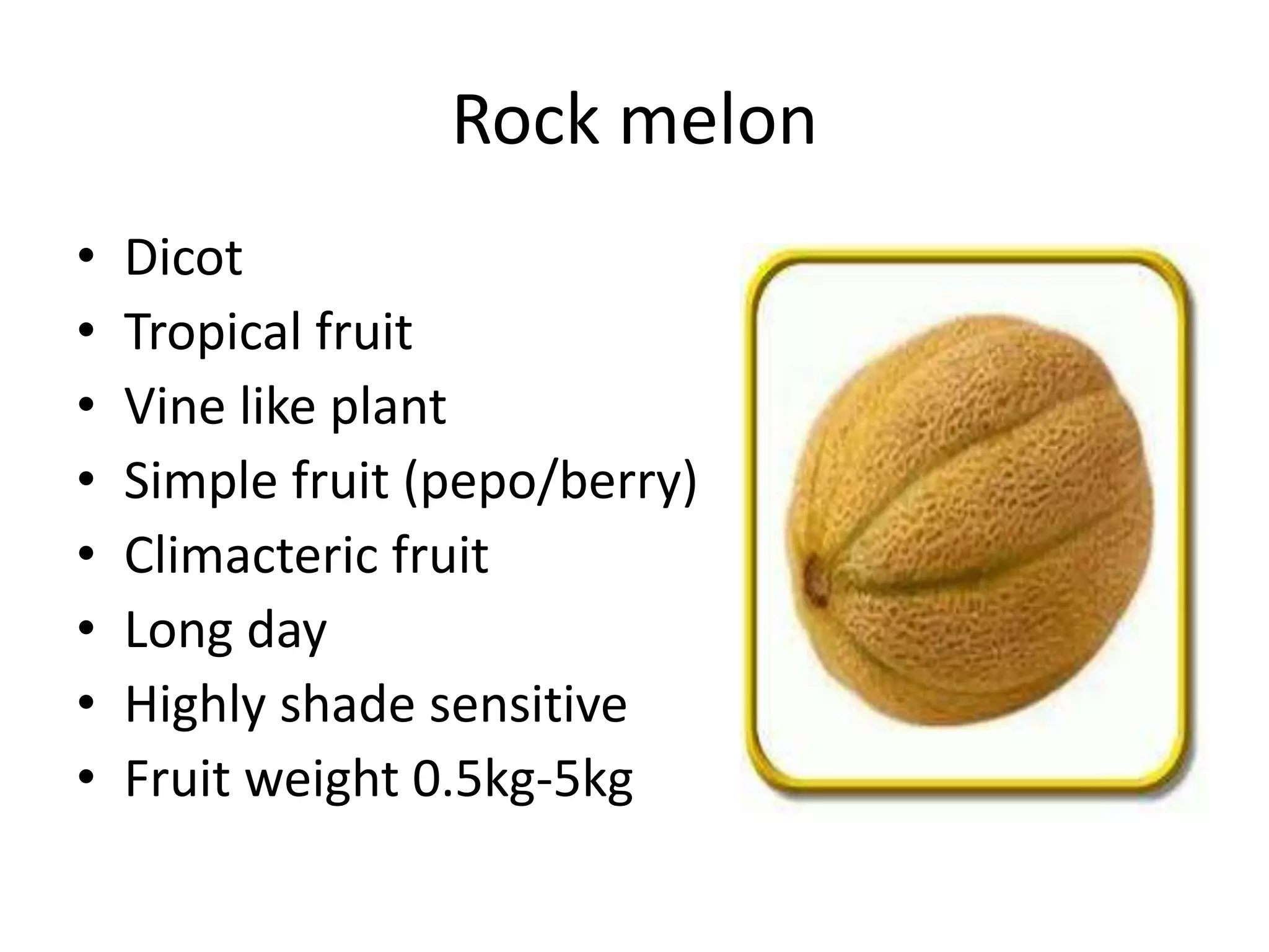 Rock melon
• Dicot
• Tropical fruit
• Vine like plant
• Simple fruit (pepo/berry)
• Climacteric fruit
• Long day
• Highly shade sensitive
• Fruit weight 0.5kg-5kg
 