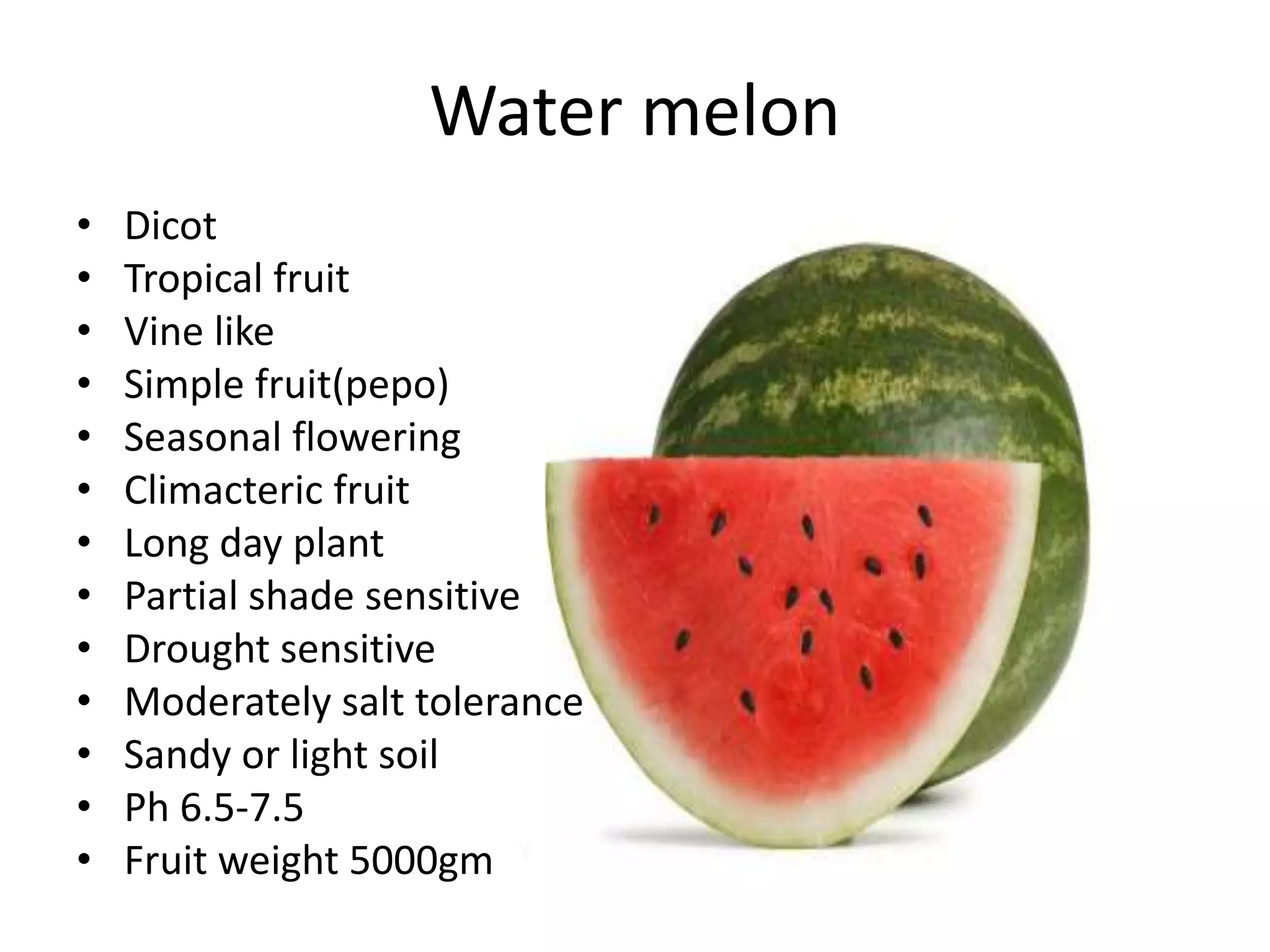 Water melon
• Dicot
• Tropical fruit
• Vine like
• Simple fruit(pepo)
• Seasonal flowering
• Climacteric fruit
• Long day plant
• Partial shade sensitive
• Drought sensitive
• Moderately salt tolerance
• Sandy or light soil
• Ph 6.5-7.5
• Fruit weight 5000gm
 