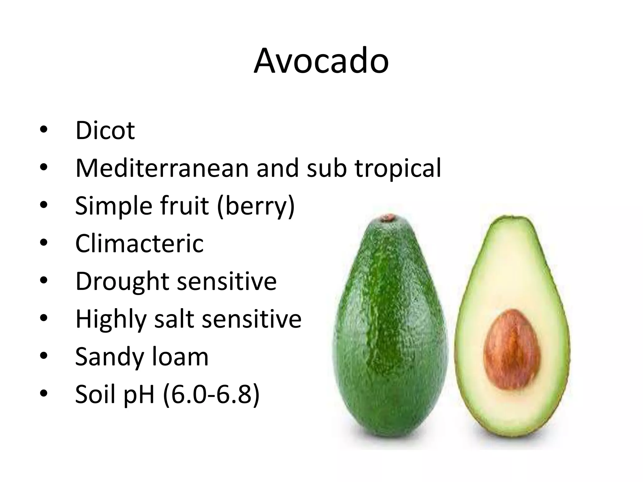 Avocado
• Dicot
• Mediterranean and sub tropical
• Simple fruit (berry)
• Climacteric
• Drought sensitive
• Highly salt sensitive
• Sandy loam
• Soil pH (6.0-6.8)
 
