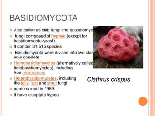 Classification of fungi | PPTX