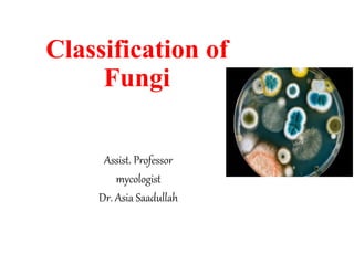 Classification of
Fungi
Assist. Professor
mycologist
Dr. Asia Saadullah
 