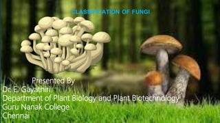 Presented By
Dr. E. Gayathiri
Department of Plant Biology and Plant Biotechnology
Guru Nanak College
Chennai
CLASSIFICATION OF FUNGI
 