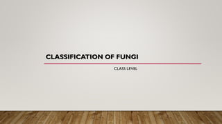 CLASSIFICATION OF FUNGI
CLASS LEVEL
 