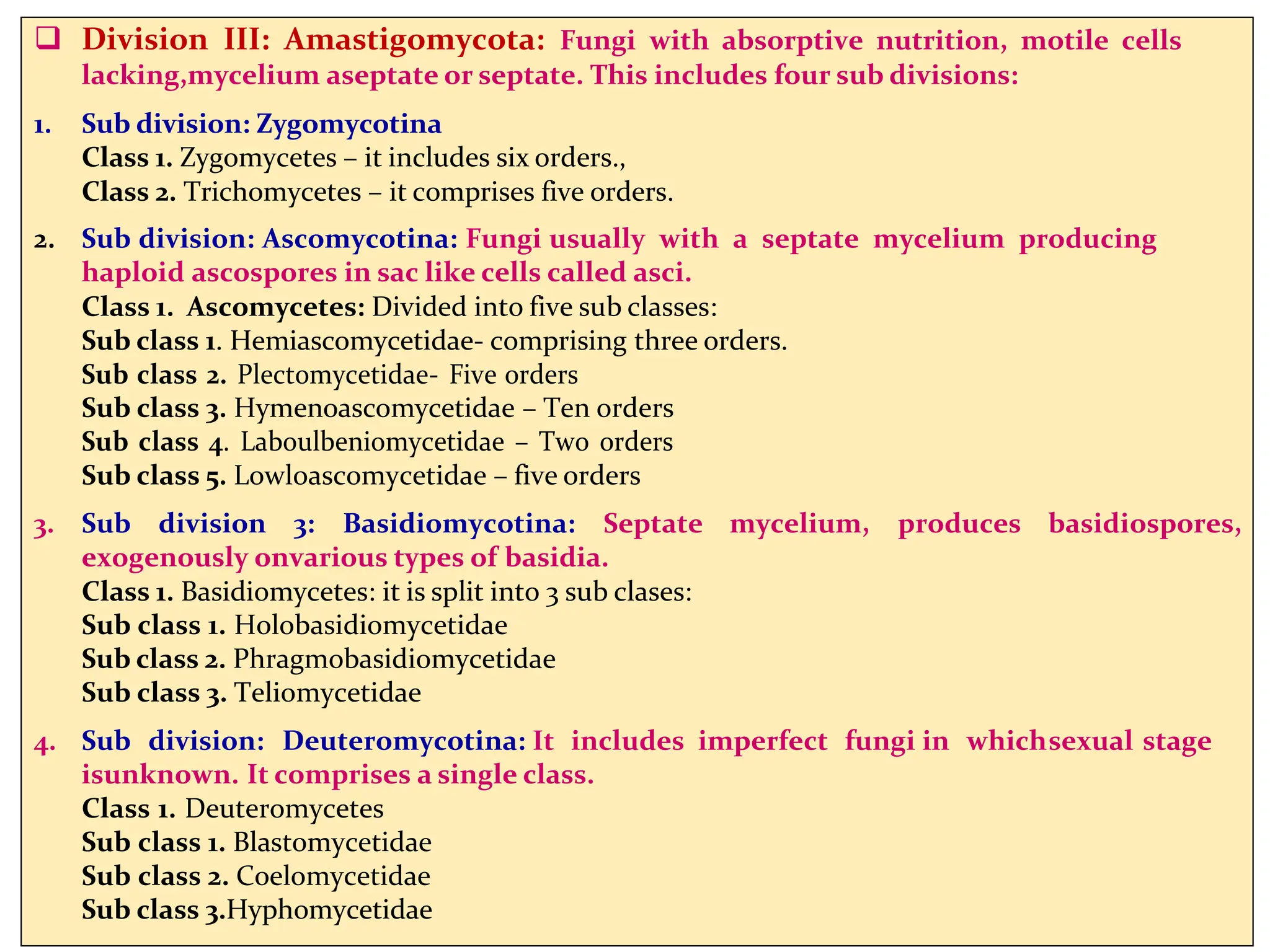  Division III: Amastigomycota: Fungi with absorptive nutrition, motile cells
lacking,mycelium aseptate or septate. This includes four sub divisions:
1. Sub division: Zygomycotina
Class 1. Zygomycetes – it includes six orders.,
Class 2. Trichomycetes – it comprises five orders.
2. Sub division: Ascomycotina: Fungi usually with a septate mycelium producing
haploid ascospores in sac like cells called asci.
Class 1. Ascomycetes: Divided into five sub classes:
Sub class 1. Hemiascomycetidae- comprising three orders.
Sub class 2. Plectomycetidae- Five orders
Sub class 3. Hymenoascomycetidae – Ten orders
Sub class 4. Laboulbeniomycetidae – Two orders
Sub class 5. Lowloascomycetidae – five orders
3. Sub division 3: Basidiomycotina: Septate mycelium, produces basidiospores,
exogenously onvarious types of basidia.
Class 1. Basidiomycetes: it is split into 3 sub clases:
Sub class 1. Holobasidiomycetidae
Sub class 2. Phragmobasidiomycetidae
Sub class 3. Teliomycetidae
4. Sub division: Deuteromycotina: It includes imperfect fungi in whichsexual stage
isunknown. It comprises a single class.
Class 1. Deuteromycetes
Sub class 1. Blastomycetidae
Sub class 2. Coelomycetidae
Sub class 3.Hyphomycetidae
 