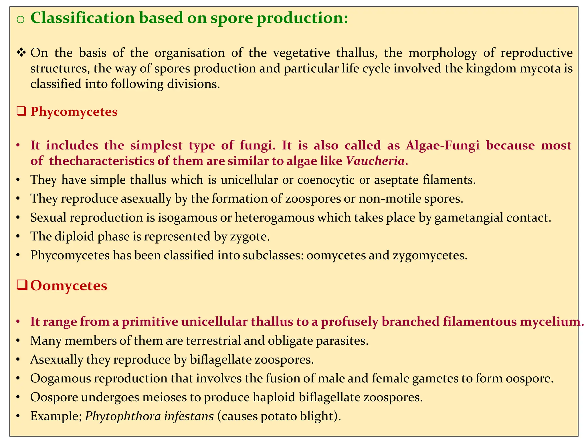 o Classification based on spore production:
 On the basis of the organisation of the vegetative thallus, the morphology of reproductive
structures, the way of spores production and particular life cycle involved the kingdom mycota is
classified into following divisions.
 Phycomycetes
• It includes the simplest type of fungi. It is also called as Algae-Fungi because most
of thecharacteristics of them are similar to algae like Vaucheria.
• They have simple thallus which is unicellular or coenocytic or aseptate filaments.
• They reproduce asexually by the formation of zoospores or non-motile spores.
• Sexual reproduction is isogamous or heterogamous which takes place by gametangial contact.
• The diploid phase is represented by zygote.
• Phycomycetes has been classified into subclasses: oomycetes and zygomycetes.
Oomycetes
• It range from a primitive unicellular thallus to a profusely branched filamentous mycelium.
• Many members of them are terrestrial and obligate parasites.
• Asexually they reproduce by biflagellate zoospores.
• Oogamous reproduction that involves the fusion of male and female gametes to form oospore.
• Oospore undergoes meioses to produce haploid biflagellate zoospores.
• Example; Phytophthora infestans (causes potato blight).
 
