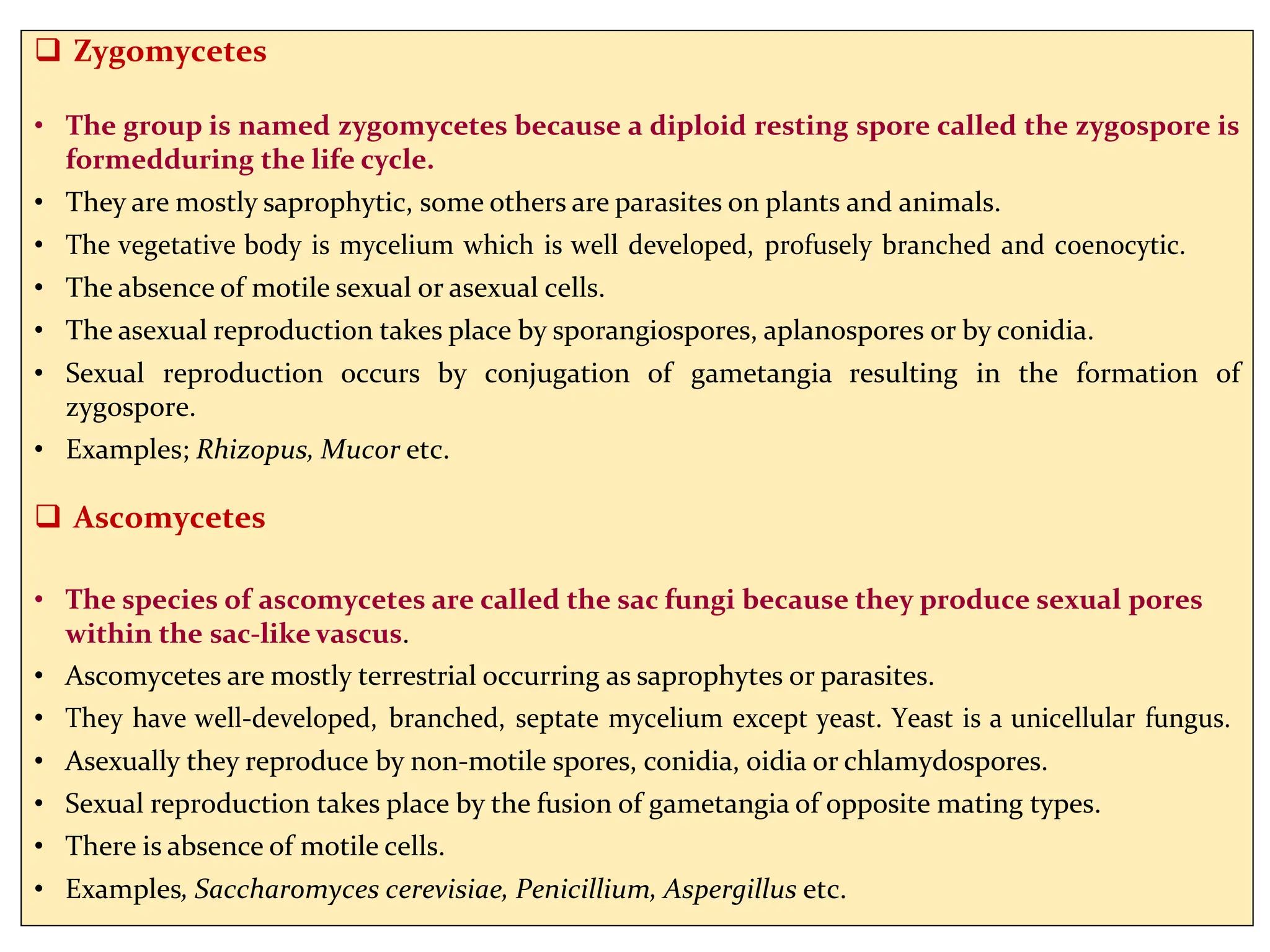  Zygomycetes
• The group is named zygomycetes because a diploid resting spore called the zygospore is
formedduring the life cycle.
• They are mostly saprophytic, some others are parasites on plants and animals.
• The vegetative body is mycelium which is well developed, profusely branched and coenocytic.
• The absence of motile sexual or asexual cells.
• The asexual reproduction takes place by sporangiospores, aplanospores or by conidia.
• Sexual reproduction occurs by conjugation of gametangia resulting in the formation of
zygospore.
• Examples; Rhizopus, Mucor etc.
 Ascomycetes
• The species of ascomycetes are called the sac fungi because they produce sexual pores
within the sac-like vascus.
• Ascomycetes are mostly terrestrial occurring as saprophytes or parasites.
• They have well-developed, branched, septate mycelium except yeast. Yeast is a unicellular fungus.
• Asexually they reproduce by non-motile spores, conidia, oidia or chlamydospores.
• Sexual reproduction takes place by the fusion of gametangia of opposite mating types.
• There is absence of motile cells.
• Examples, Saccharomyces cerevisiae, Penicillium, Aspergillus etc.
 