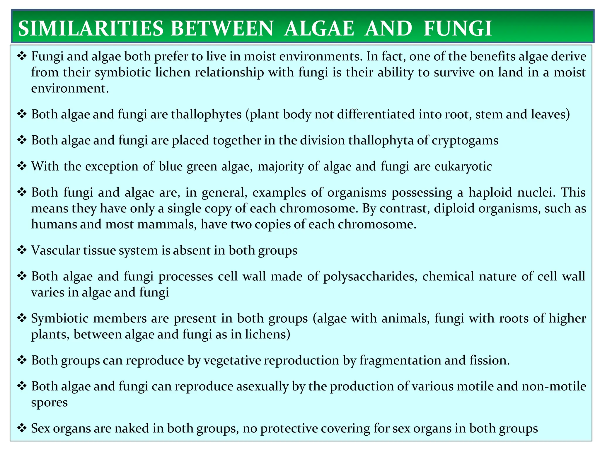 SIMILARITIES BETWEEN ALGAE AND FUNGI
 Fungi and algae both prefer to live in moist environments. In fact, one of the benefits algae derive
from their symbiotic lichen relationship with fungi is their ability to survive on land in a moist
environment.
 Both algae and fungi are thallophytes (plant body not differentiated into root, stem and leaves)
 Both algae and fungi are placed together in the division thallophyta of cryptogams
 With the exception of blue green algae, majority of algae and fungi are eukaryotic
 Both fungi and algae are, in general, examples of organisms possessing a haploid nuclei. This
means they have only a single copy of each chromosome. By contrast, diploid organisms, such as
humans and most mammals, have two copies of each chromosome.
 Vascular tissue system is absent in both groups
 Both algae and fungi processes cell wall made of polysaccharides, chemical nature of cell wall
varies in algae and fungi
 Symbiotic members are present in both groups (algae with animals, fungi with roots of higher
plants, between algae and fungi as in lichens)
 Both groups can reproduce by vegetative reproduction by fragmentation and fission.
 Both algae and fungi can reproduce asexually by the production of various motile and non-motile
spores
 Sex organs are naked in both groups, no protective covering for sex organs in both groups
 