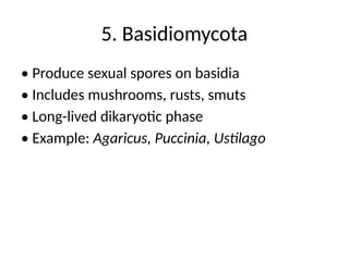 Classification of Fungi and it's classes.pptx
