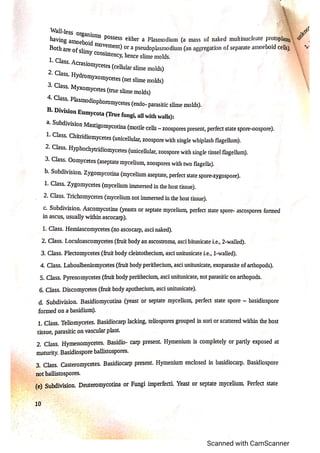 Classification of fungi notes