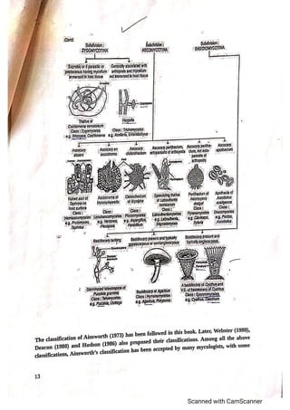 Classification of fungi notes