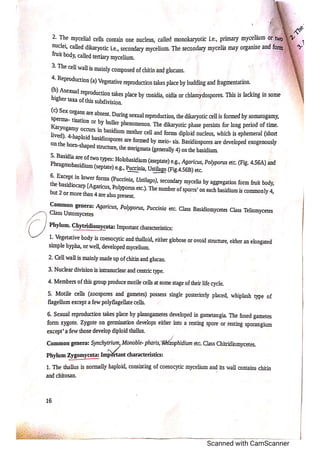 Classification of fungi notes