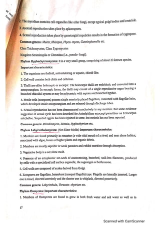 Classification of fungi notes