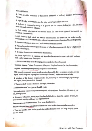 Classification of fungi notes