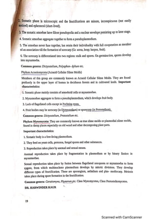 Classification of fungi notes