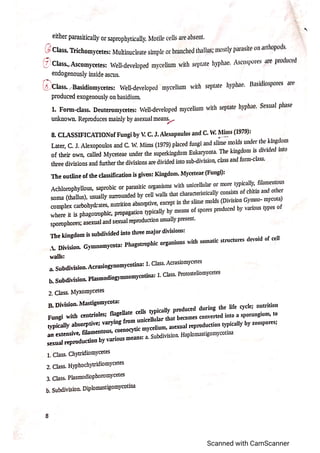 Classification of fungi notes