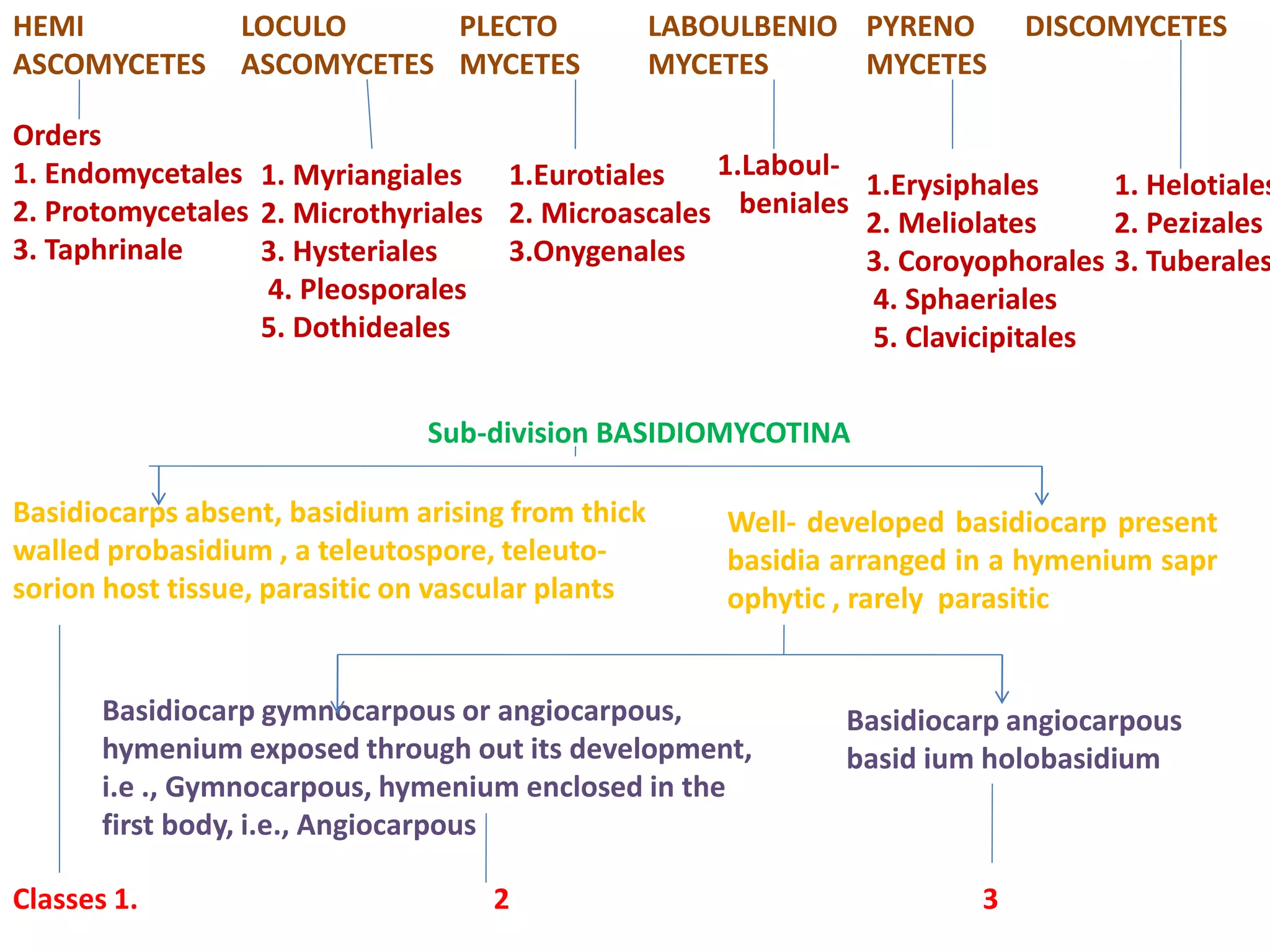 HEMI
ASCOMYCETES
LOCULO
ASCOMYCETES
PLECTO
MYCETES
LABOULBENIO
MYCETES
PYRENO
MYCETES
DISCOMYCETES
Orders
1. Endomycetales
2. Protomycetales
3. Taphrinale
1. Myriangiales
2. Microthyriales
3. Hysteriales
4. Pleosporales
5. Dothideales
1.Eurotiales
2. Microascales
3.Onygenales
1.Laboul-
beniales
1.Erysiphales
2. Meliolates
3. Coroyophorales
4. Sphaeriales
5. Clavicipitales
1. Helotiales
2. Pezizales
3. Tuberales
Basidiocarps absent, basidium arising from thick
walled probasidium , a teleutospore, teleuto-
sorion host tissue, parasitic on vascular plants
Sub-division BASIDIOMYCOTINA
Well- developed basidiocarp present
basidia arranged in a hymenium sapr
ophytic , rarely parasitic
Basidiocarp gymnocarpous or angiocarpous,
hymenium exposed through out its development,
i.e ., Gymnocarpous, hymenium enclosed in the
first body, i.e., Angiocarpous
Basidiocarp angiocarpous
basid ium holobasidium
Classes 1. 2 3
 