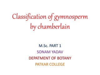 Classification of gymnosperm
by chamberlain
M.Sc. PART 1
SONAM YADAV
DEPATMENT OF BOTANY
PATKAR COLLEGE
 