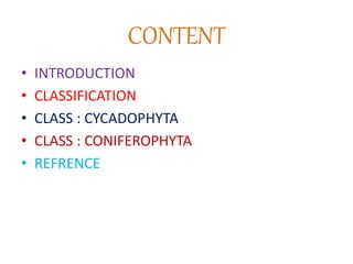CONTENT
• INTRODUCTION
• CLASSIFICATION
• CLASS : CYCADOPHYTA
• CLASS : CONIFEROPHYTA
• REFRENCE
 