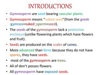 INTRODUCTIONS
• Gymnosperm are seed bearing vascular plants.
• Gymnosperm means “naked seed”(from the greek
:gymnos=naked ;sperm=seed).
• The seeds of the gymnosperm lack a protective
enclosure(unlike flowering plants which have flowers
and fruit).
• Seeds are produced on the scales of cones.
• More advanced than ferns because they do not have
spores, they have seeds.
• most of the gymnosperm are trees.
• All of don’t posses flowers.
• All gymnosperm have exposed seeds.
 