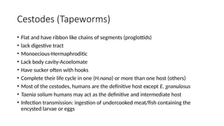 Cestodes (Tapeworms)
• Flat and have ribbon like chains of segments (proglottids)
• lack digestive tract
• Monoecious-Hermaphroditic
• Lack body cavity-Acoelomate
• Have sucker often with hooks
• Complete their life cycle in one (H.nana) or more than one host (others)
• Most of the cestodes, humans are the definitive host except E. granulosus
• Taenia solium humans may act as the definitive and intermediate host
• Infection transmission: ingestion of undercooked meat/fish containing the
encysted larvae or eggs
 