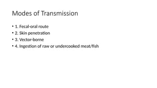 Modes of Transmission
• 1. Fecal-oral route
• 2. Skin penetration
• 3. Vector-borne
• 4. Ingestion of raw or undercooked meat/fish
 