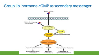 Group IIb hormone-cGMP as secondary messenger
 