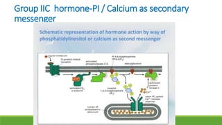 Group IIC hormone-PI / Calcium as secondary
messenger
 