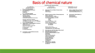 Basis of chemical nature
 