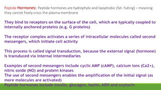 Peptide Hormones: Peptide hormones are hydrophylic and lipophobic (fat- hating) – meaning
they cannot freely cross the plasma membrane
They bind to receptors on the surface of the cell, which are typically coupled to
internally anchored proteins (e.g. G proteins)
The receptor complex activates a series of intracellular molecules called second
messengers, which initiate cell activity
This process is called signal transduction, because the external signal (hormone)
is transduced via internal intermediaries
Examples of second messengers include cyclic AMP (cAMP), calcium ions (Ca2+),
nitric oxide (NO) and protein kinases
The use of second messengers enables the amplification of the initial signal (as
more molecules are activated)
Peptide hormones include insulin, glucagon, leptin, ADH and oxytocin
 