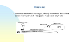 Classification of hormones and their mechanism of action | PPTX
