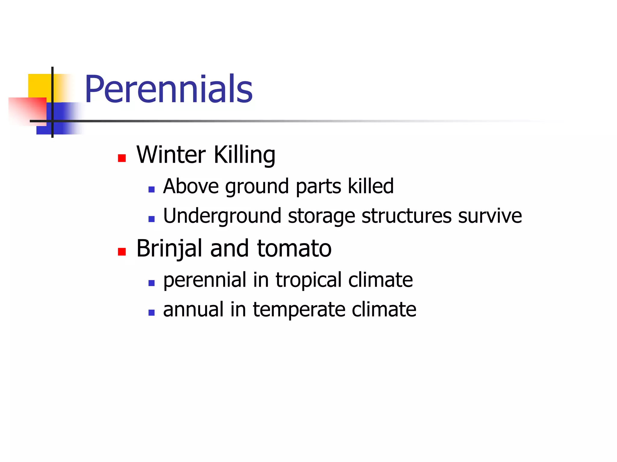 Perennials
 Winter Killing
 Above ground parts killed
 Underground storage structures survive
 Brinjal and tomato
 perennial in tropical climate
 annual in temperate climate
 