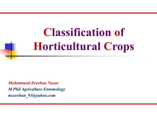 Classification of
Horticultural Crops
Muhammad Zeeshan Nazar
M.Phil Agriculture Entomology
mzeeshan_93@yahoo.com
 