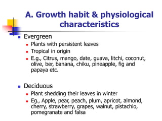  Evergreen
 Plants with persistent leaves
 Tropical in origin
 E.g., Citrus, mango, date, guava, litchi, coconut,
olive, ber, banana, chiku, pineapple, fig and
papaya etc.
 Deciduous
 Plant shedding their leaves in winter
 Eg., Apple, pear, peach, plum, apricot, almond,
cherry, strawberry, grapes, walnut, pistachio,
pomegranate and falsa
A. Growth habit & physiological
characteristics
 