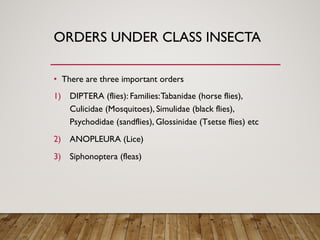 Classification Of Important Arthropods 2 Pdf Classification Of Important Arthropods 2 Pdf