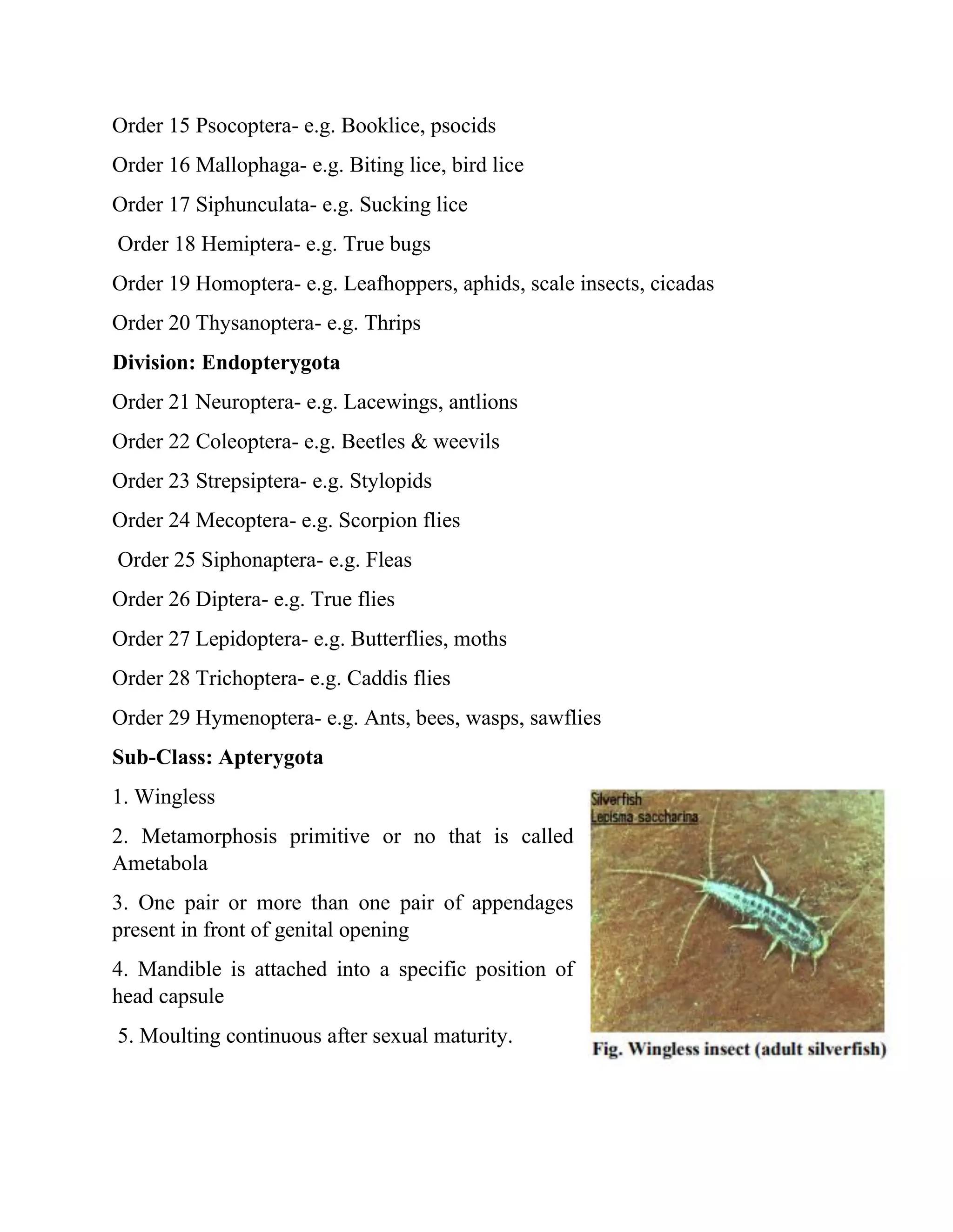 Order 15 Psocoptera- e.g. Booklice, psocids
Order 16 Mallophaga- e.g. Biting lice, bird lice
Order 17 Siphunculata- e.g. Sucking lice
Order 18 Hemiptera- e.g. True bugs
Order 19 Homoptera- e.g. Leafhoppers, aphids, scale insects, cicadas
Order 20 Thysanoptera- e.g. Thrips
Division: Endopterygota
Order 21 Neuroptera- e.g. Lacewings, antlions
Order 22 Coleoptera- e.g. Beetles & weevils
Order 23 Strepsiptera- e.g. Stylopids
Order 24 Mecoptera- e.g. Scorpion flies
Order 25 Siphonaptera- e.g. Fleas
Order 26 Diptera- e.g. True flies
Order 27 Lepidoptera- e.g. Butterflies, moths
Order 28 Trichoptera- e.g. Caddis flies
Order 29 Hymenoptera- e.g. Ants, bees, wasps, sawflies
Sub-Class: Apterygota
1. Wingless
2. Metamorphosis primitive or no that is called
Ametabola
3. One pair or more than one pair of appendages
present in front of genital opening
4. Mandible is attached into a specific position of
head capsule
5. Moulting continuous after sexual maturity.
 