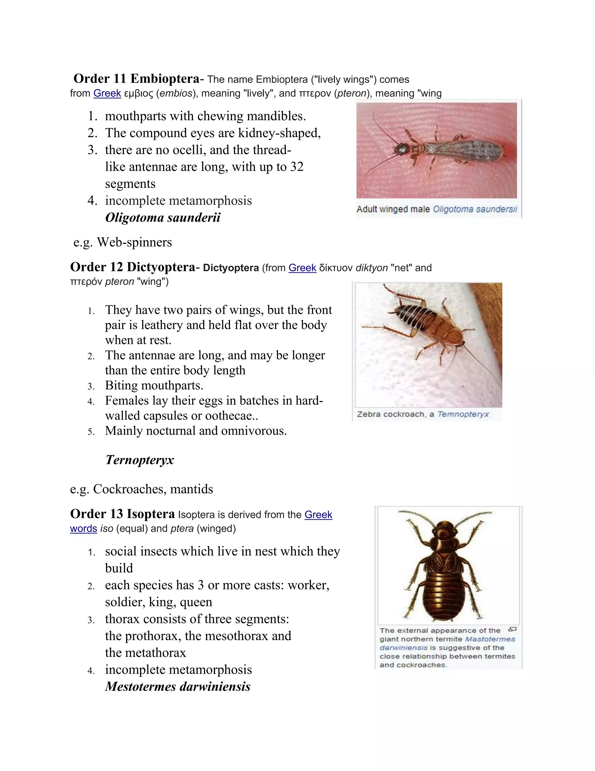 Order 11 Embioptera- The name Embioptera ("lively wings") comes
from Greek εμβιος (embios), meaning "lively", and πτερον (pteron), meaning "wing
1. mouthparts with chewing mandibles.
2. The compound eyes are kidney-shaped,
3. there are no ocelli, and the thread-
like antennae are long, with up to 32
segments
4. incomplete metamorphosis
Oligotoma saunderii
e.g. Web-spinners
Order 12 Dictyoptera- Dictyoptera (from Greek δίκτυον diktyon "net" and
πτερόν pteron "wing")
1. They have two pairs of wings, but the front
pair is leathery and held flat over the body
when at rest.
2. The antennae are long, and may be longer
than the entire body length
3. Biting mouthparts.
4. Females lay their eggs in batches in hard-
walled capsules or oothecae..
5. Mainly nocturnal and omnivorous.
Ternopteryx
e.g. Cockroaches, mantids
Order 13 Isoptera Isoptera is derived from the Greek
words iso (equal) and ptera (winged)
1. social insects which live in nest which they
build
2. each species has 3 or more casts: worker,
soldier, king, queen
3. thorax consists of three segments:
the prothorax, the mesothorax and
the metathorax
4. incomplete metamorphosis
Mestotermes darwiniensis
 