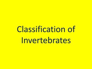 Classification of
Invertebrates
 