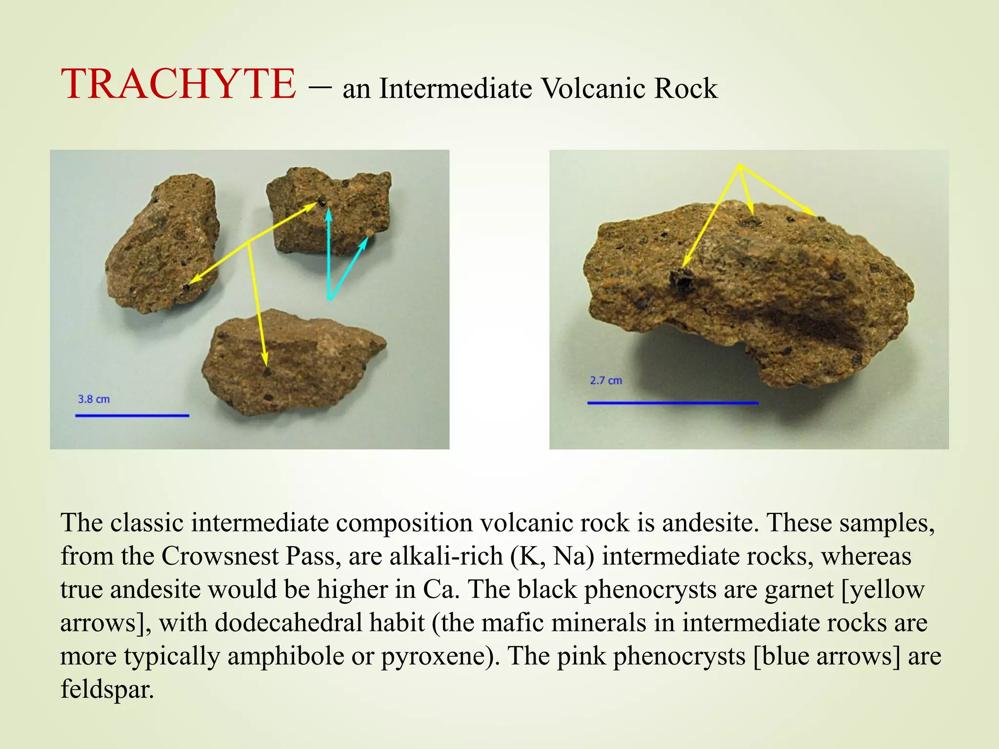 TRACHYTE – an Intermediate Volcanic Rock
The classic intermediate composition volcanic rock is andesite. These samples,
from the Crowsnest Pass, are alkali-rich (K, Na) intermediate rocks, whereas
true andesite would be higher in Ca. The black phenocrysts are garnet [yellow
arrows], with dodecahedral habit (the mafic minerals in intermediate rocks are
more typically amphibole or pyroxene). The pink phenocrysts [blue arrows] are
feldspar.
 
