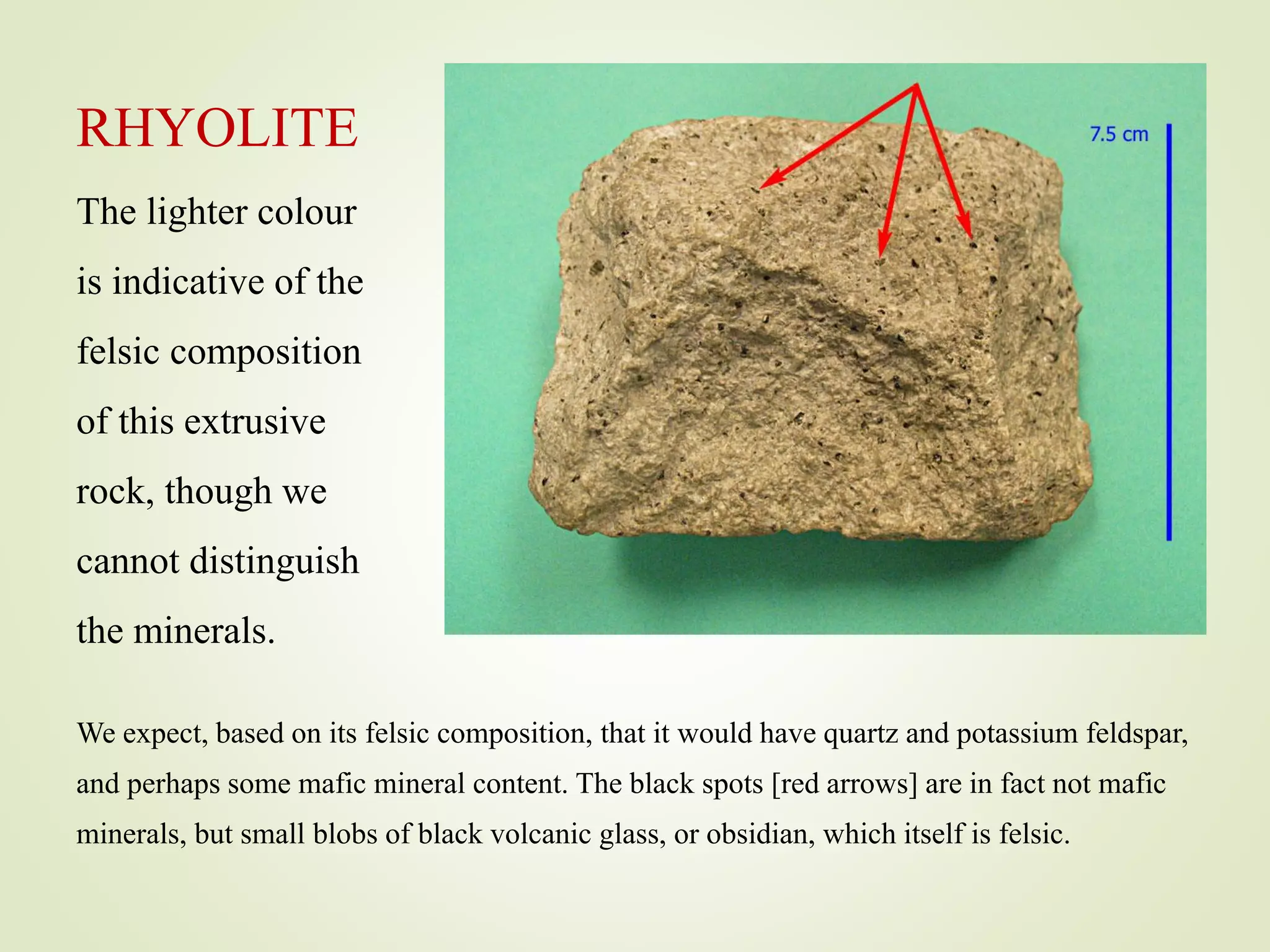 RHYOLITE
The lighter colour
is indicative of the
felsic composition
of this extrusive
rock, though we
cannot distinguish
the minerals.
We expect, based on its felsic composition, that it would have quartz and potassium feldspar,
and perhaps some mafic mineral content. The black spots [red arrows] are in fact not mafic
minerals, but small blobs of black volcanic glass, or obsidian, which itself is felsic.
 