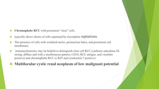 discuss the CLASSIFICATION OF KIDNEY TUMOURS.pptx